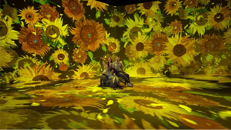 Van Gogh The Immersive Experience