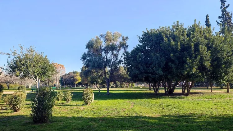 Ακαδημία Πλάτωνος