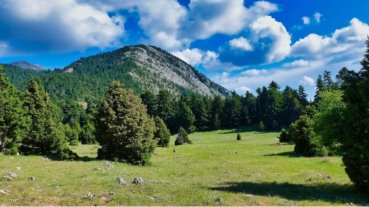 Πάρνωνας