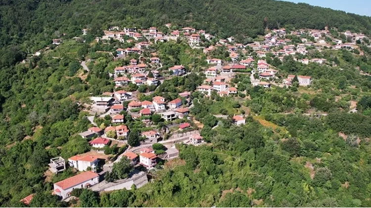 Ποτιδάνεια 1