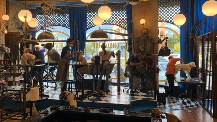 The Creatures Pet Shop & Grooming