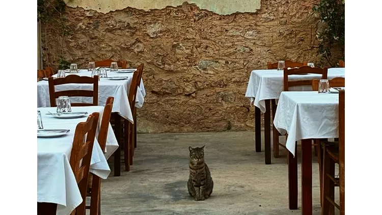 Ταβέρνες με αυλή στην Αθήνα