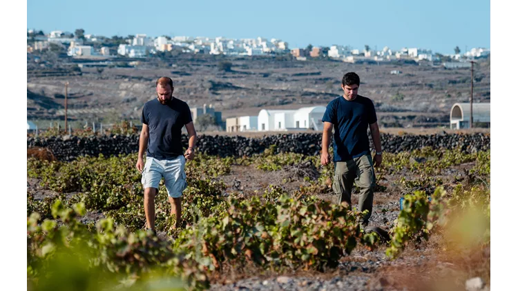 Κτήμα Σιγάλα