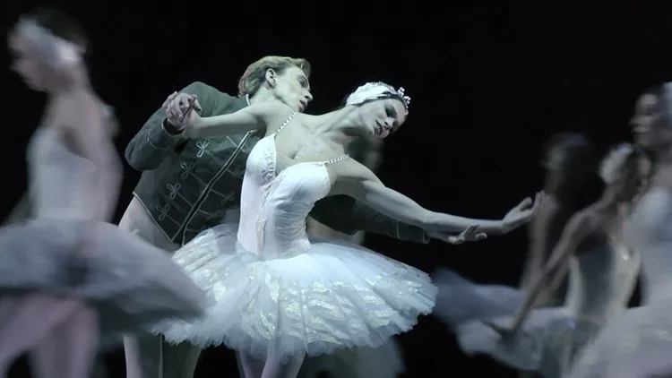 Black Swan 2024-25