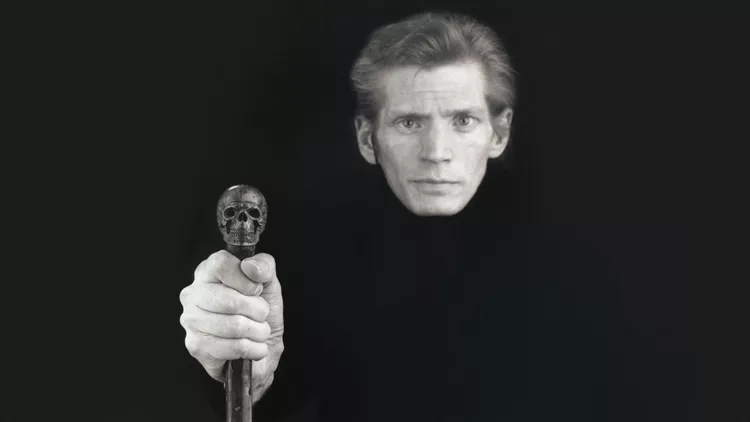 Mapplethorpe Look at the Pictures