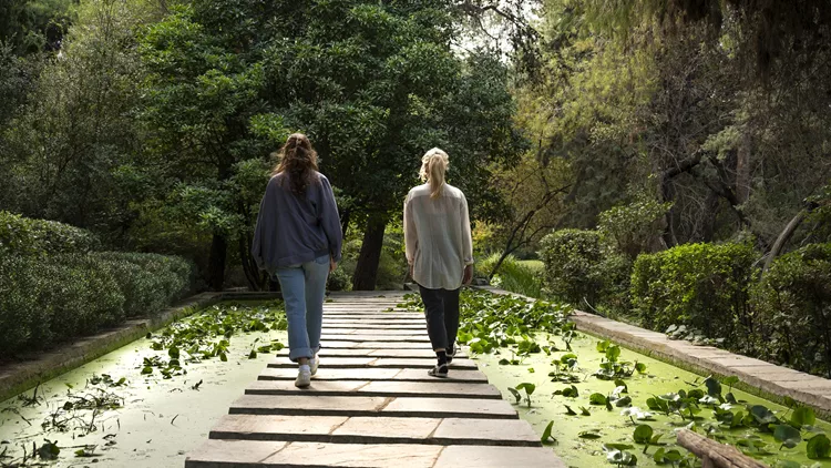 Sheltered Gardens