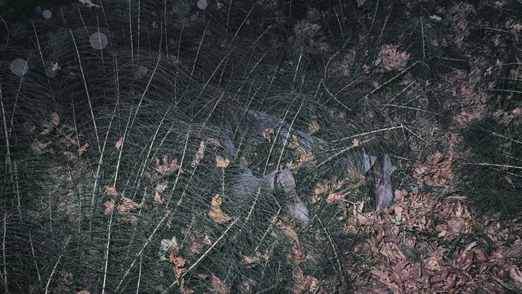 Γιώργος Γιατρομανωλάκης Abandoned Cartographies and Other Odd Hours