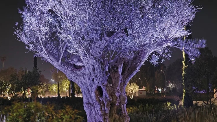 Τοπόσημα Διασύνδεσης