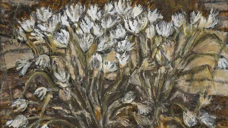 Αγγέλα Βορεάδου: Άνθη της πέτρας