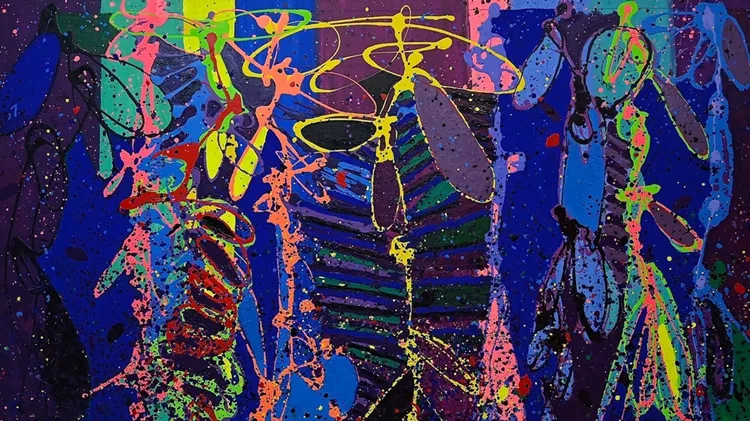 Peter Reginato Chroma