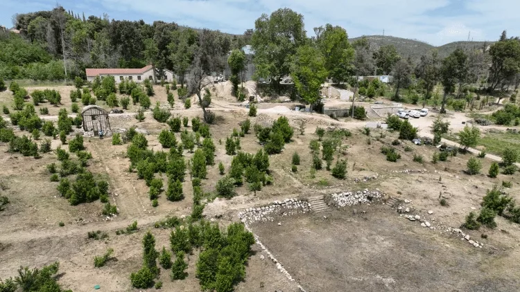 Τατόι