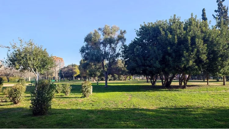 Ακαδημία Πλάτωνος