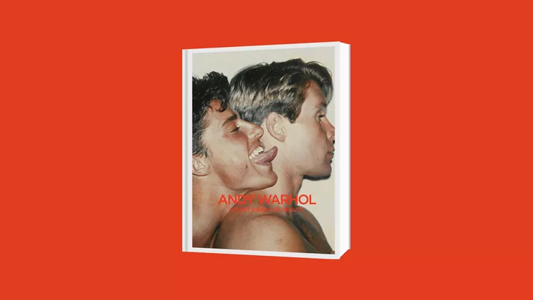 Andy Warhol Velvet Rage and Beauty