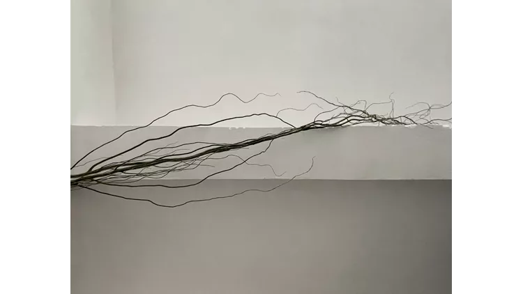 RIZOM Athens_In-Situ Intervention