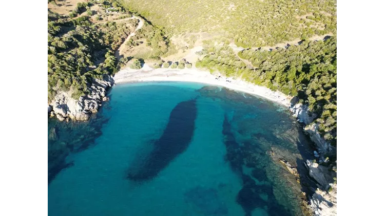 Λένε πως σε αυτή την παραλία της Εύβοιας που δεν έχει ποτέ κύμα