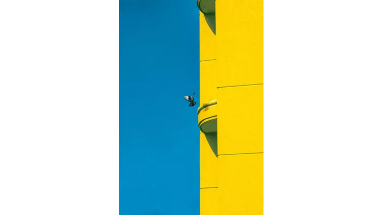 Filmmakers-for-Ukraine