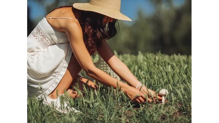 Τροφοσυλλογή