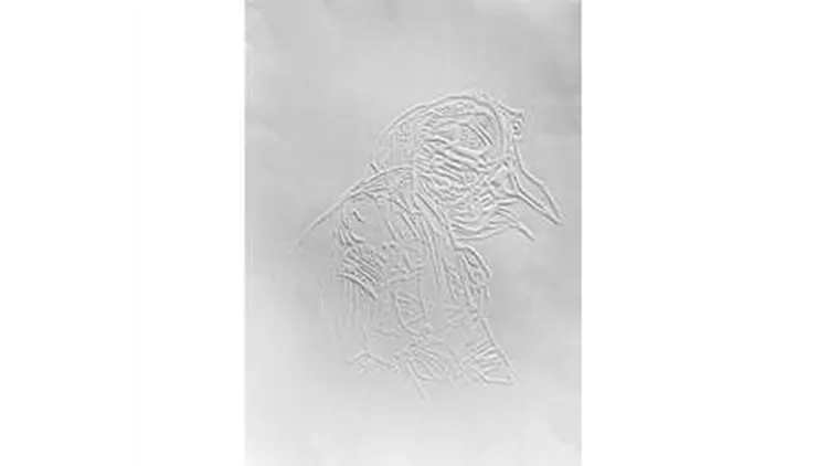 όταν ο κόραξ λευκανθεί