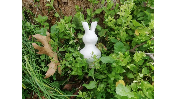 Εισβολή του Στρατού της Άνοιξης