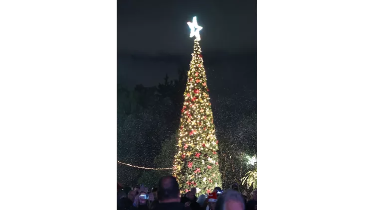 Φωταγωγήθηκε το Χριστουγεννιάτικο Δέντρο της Περιφέρειας Αττικής