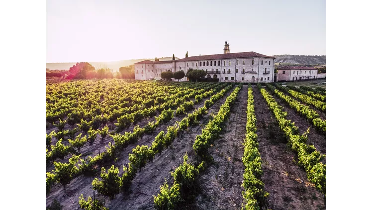 Abadia Retuerta LeDomaine Hotel