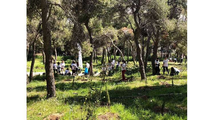 Ανάσα πρασίνου στην πόλη