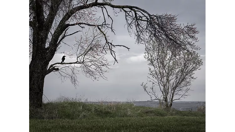 Stratos Kalafatis & Bernier/Eliades Gallery