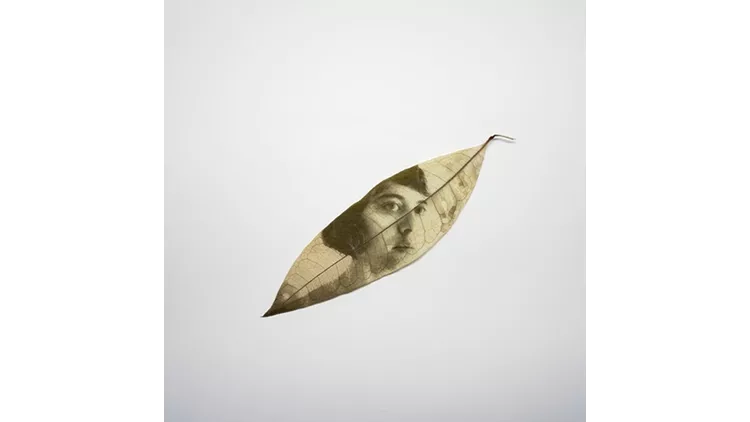ν