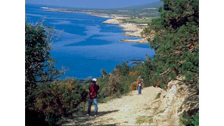 Αγροτουρισμός στην Κύπρο 