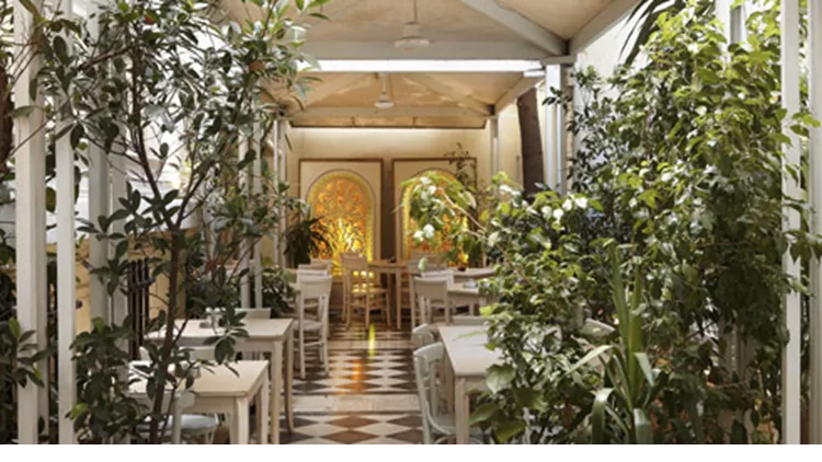 Αλεξάνδρεια 