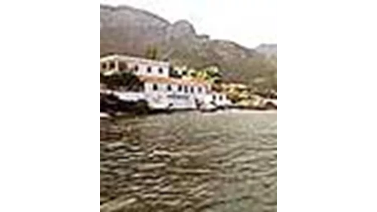 Κυπαρίσσι