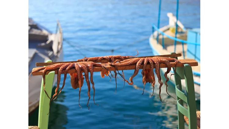 16 ξεχωριστές ταβέρνες στις Κυκλάδες