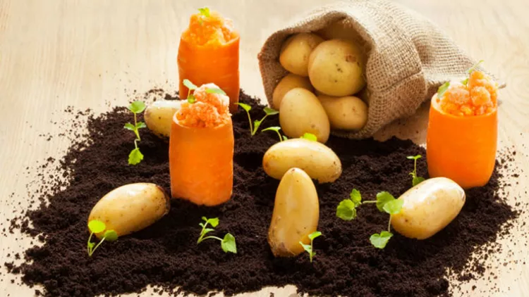 Τα λαχανικά είναι το νέο κρέας!