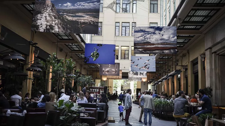 «Μια μέρα στη λιμνοθάλασσα»