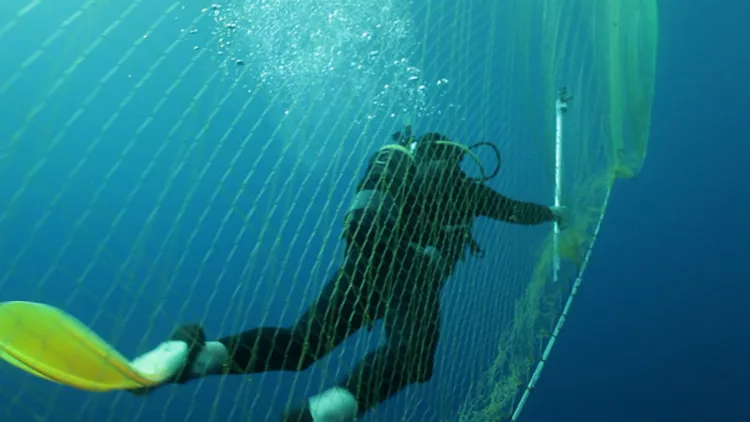 Μέχρι πότε θα έχει ψάρια το Αιγαίο;