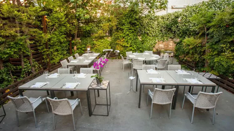 «Chefi»: ΒΒQ στο πράσινο 