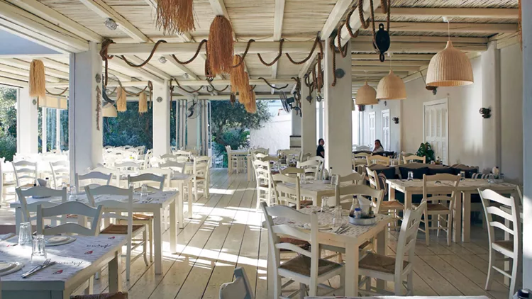 Αθερίνα: Ψαροφαγικό καλοκαιρινό καταφύγιο