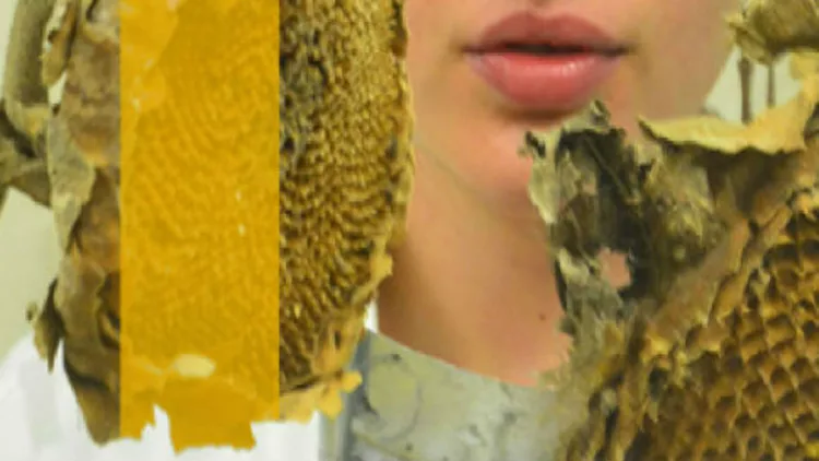 Kinono_1: Το πρώτο Art Gathering της Τήνου είναι γεγονός!