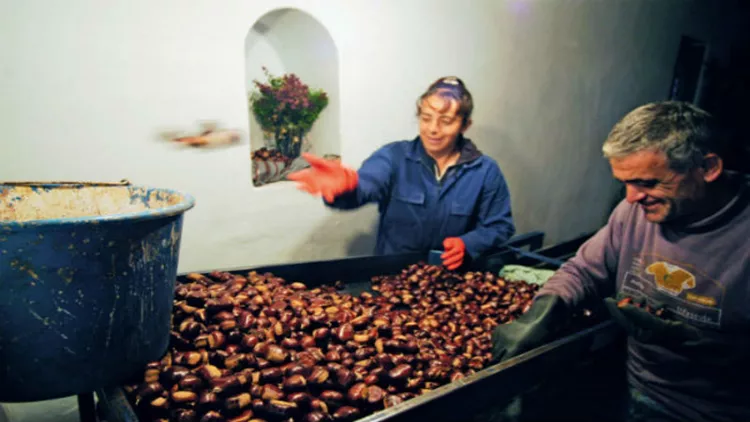 Τα γευστικά ραντεβού του φθινοπώρου
