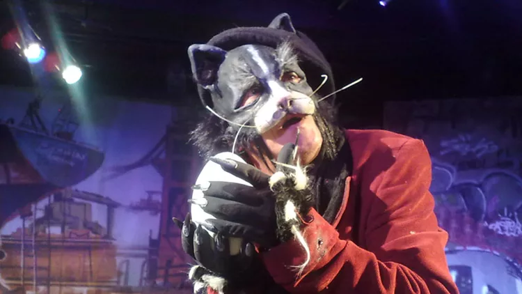 Τρεις γάτοι σε πλήρη δράση 