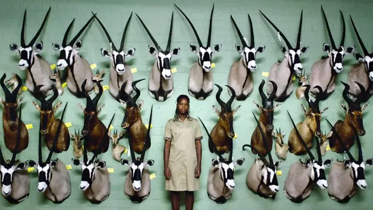 Το 19ο Φεστιβάλ Ντοκιμαντέρ Θεσσαλονίκης θα λύσει όλες σας τις απορίες