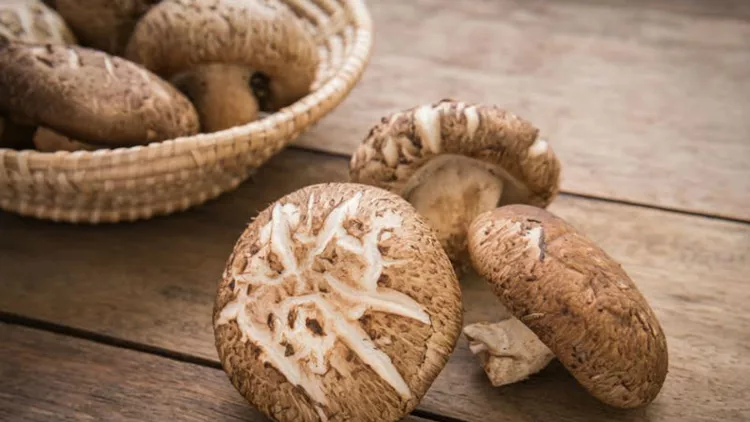 Όλα… μανιτάρι στο «Chefi» 