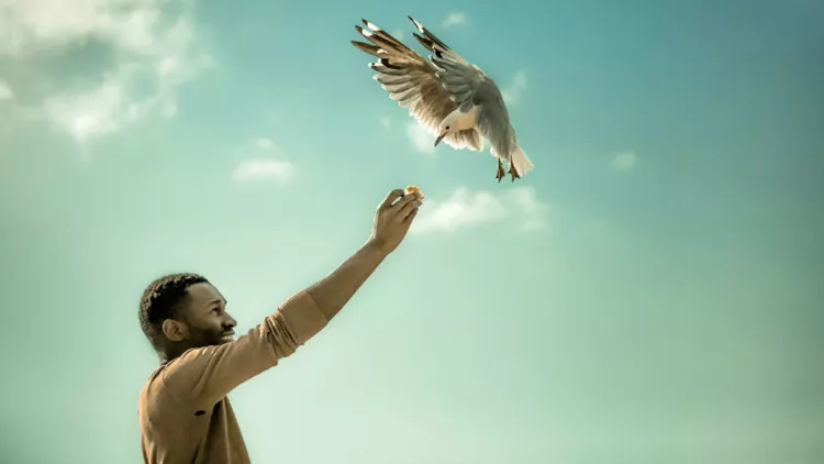 Fast Forward και…φύγαμε!