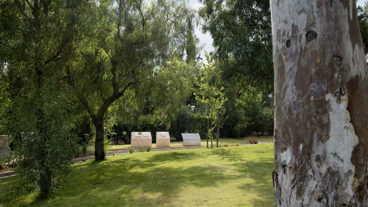 4 δωρεάν δραστηριότητες συνδυάζουν γνώση και παιχνίδι