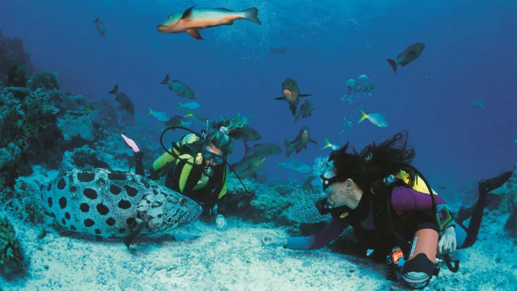 Βουτιά σε... βαθιά νερά στο Πλανητάριο