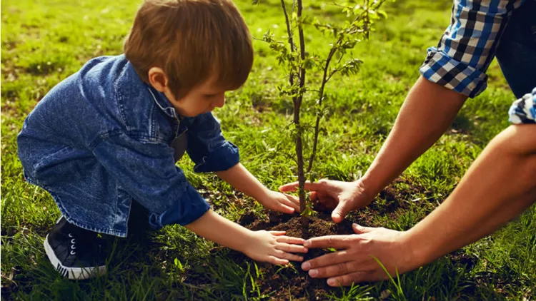 Δωρεάν δράσεις για να γιορτάσετε το περιβάλλον