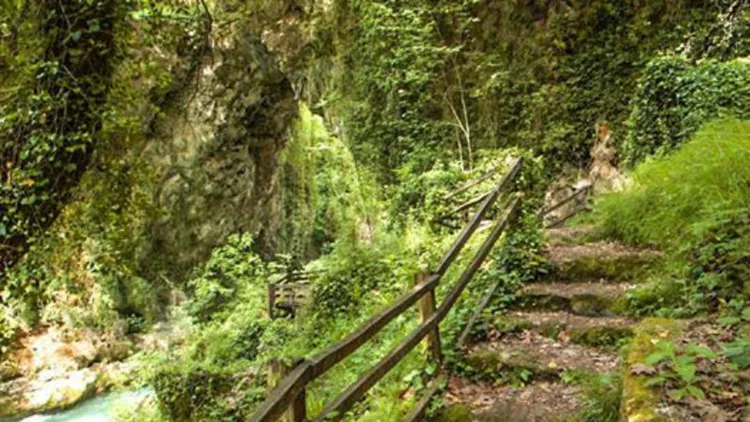 Ο φυσικός πλούτος της Ηπείρου σε ένα ηχόραμα