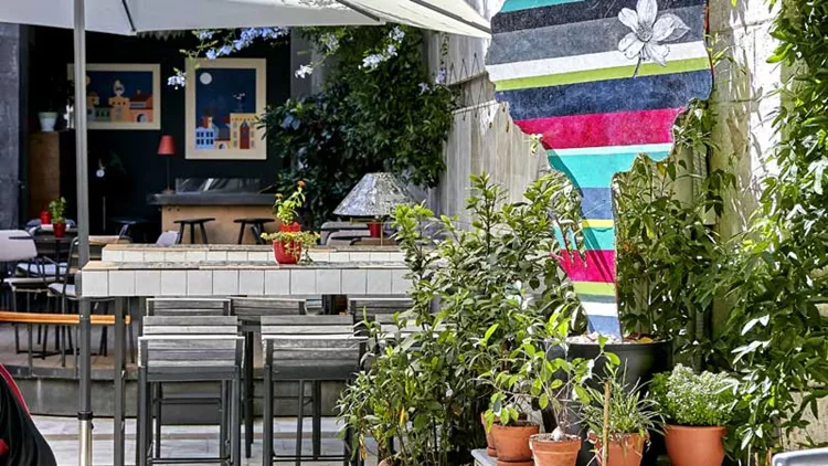 Μια μαύρη πάπια με πράσινο κήπο