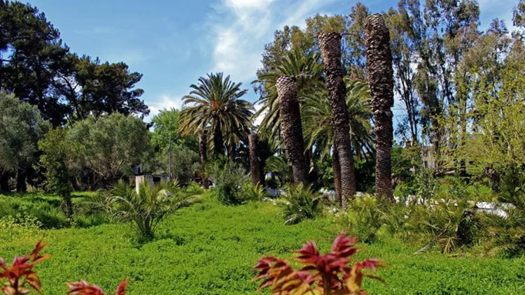 To Amari Green Festival έρχεται στην Κρήτη 