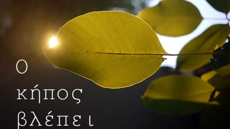 Σεμινάριο δημιουργικής γραφής μέσα στη φύση